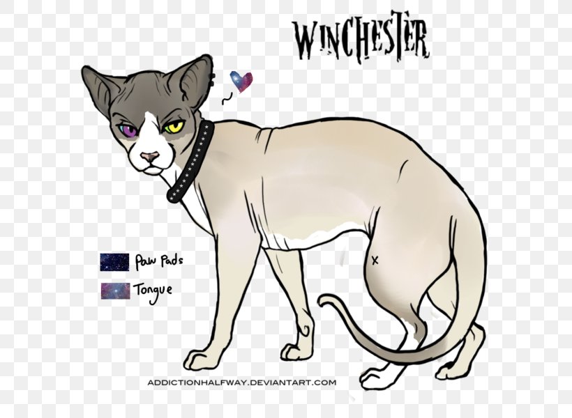 Whiskers Cat Dog Paw Clip Art, PNG, 600x600px, Watercolor, Cartoon, Flower, Frame, Heart Download Free
