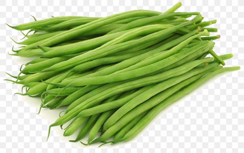 Common Bean Yardlong Bean Green Bean Vegetable, PNG, 1151x725px, Common Bean, Bean, Bean Sprout, Beetroot, Blackeyed Pea Download Free