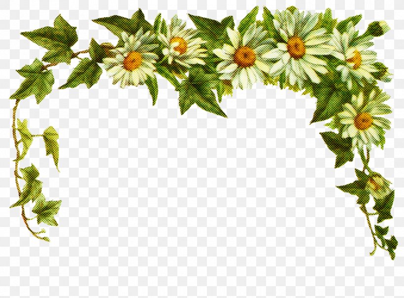 Common Daisy Flower Transparency GIF Sticker, PNG, 1480x1091px, Common Daisy, Flower, Holly, Ivy, Ivy Family Download Free