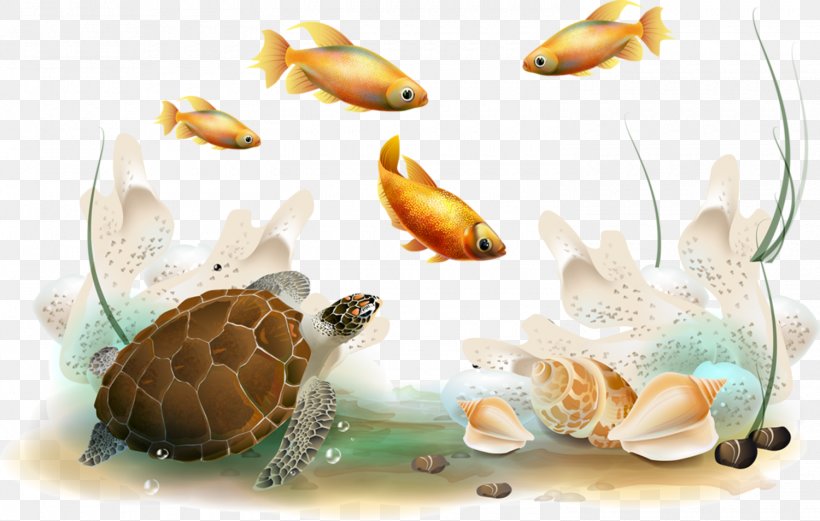 Desktop Wallpaper, PNG, 1500x954px, Vecteur, Computer Monitors, Fish, Marine Biology, Organism Download Free