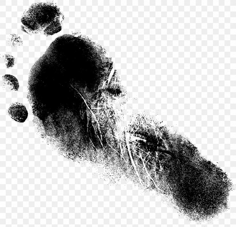 Drawing Monochrome Photography Paper, PNG, 2369x2280px, Drawing, Black And White, Brush, Crayon, Footprint Download Free