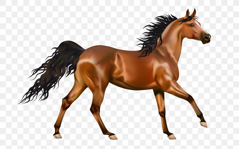 Mustang Pony Desktop Wallpaper Clip Art, PNG, 4700x2938px, Mustang, Animal Figure, Bit, Black, Bridle Download Free