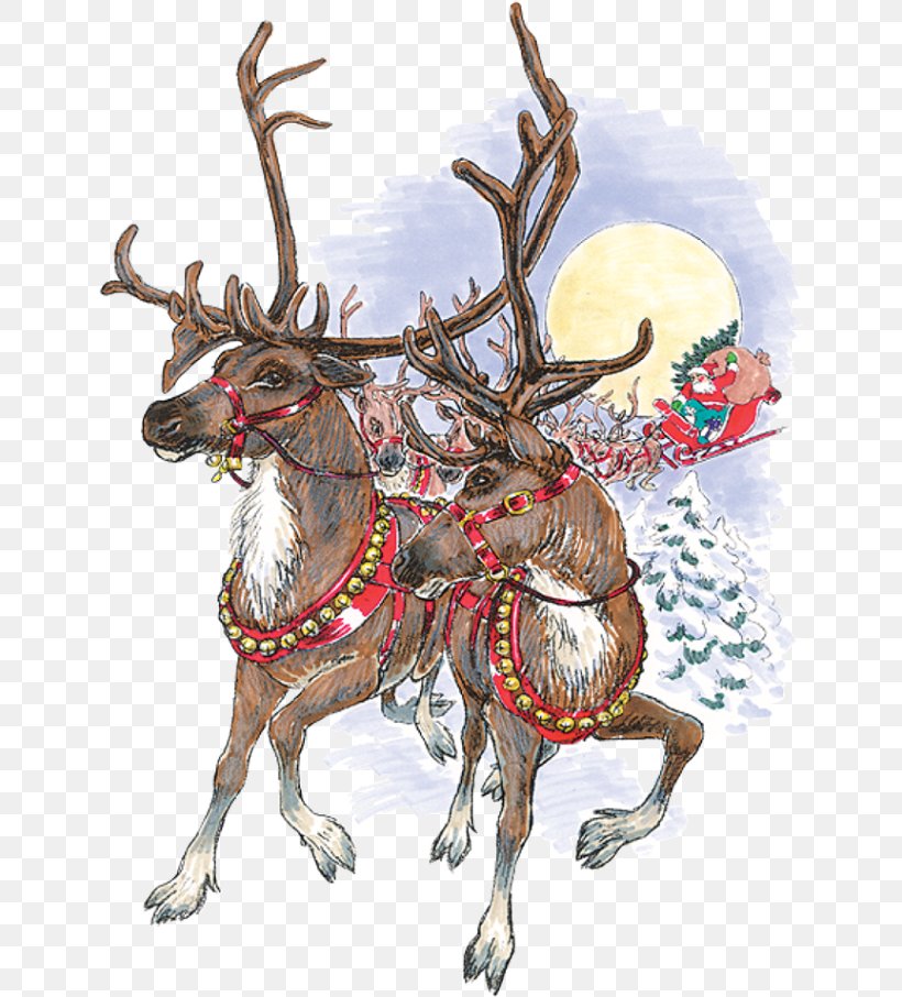 Santa Claus's Reindeer Santa Claus's Reindeer Rudolph, PNG, 640x906px,  Reindeer, Animal, Antler, Art, Christmas Download Free