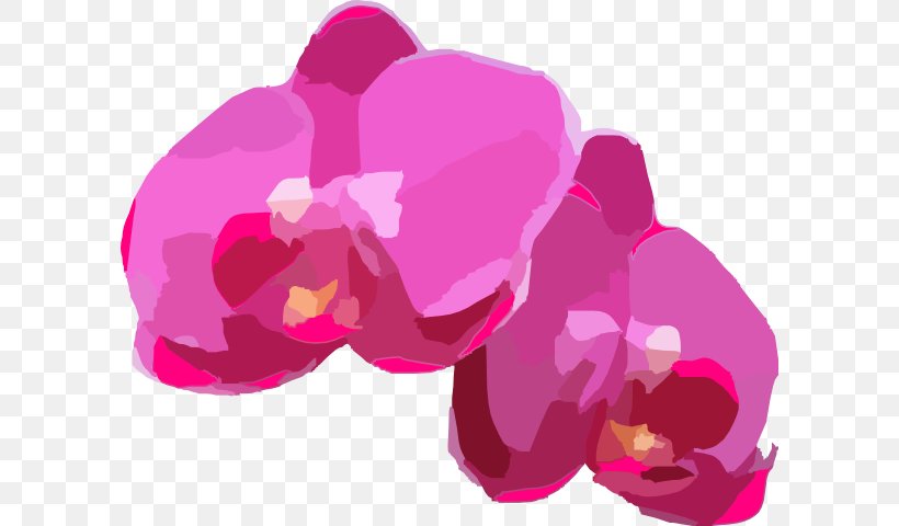 Orchids Clip Art, PNG, 600x480px, Orchids, Color, Drawing, Floral Design, Flower Download Free