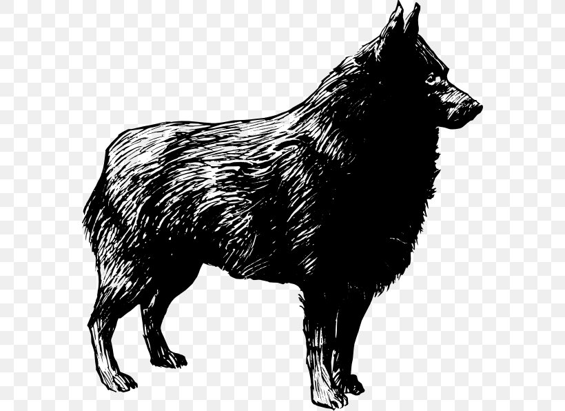Schipperke German Shepherd Tamaskan Dog Clip Art, PNG, 582x596px, Schipperke, Animal, Black, Black And White, Carnivoran Download Free