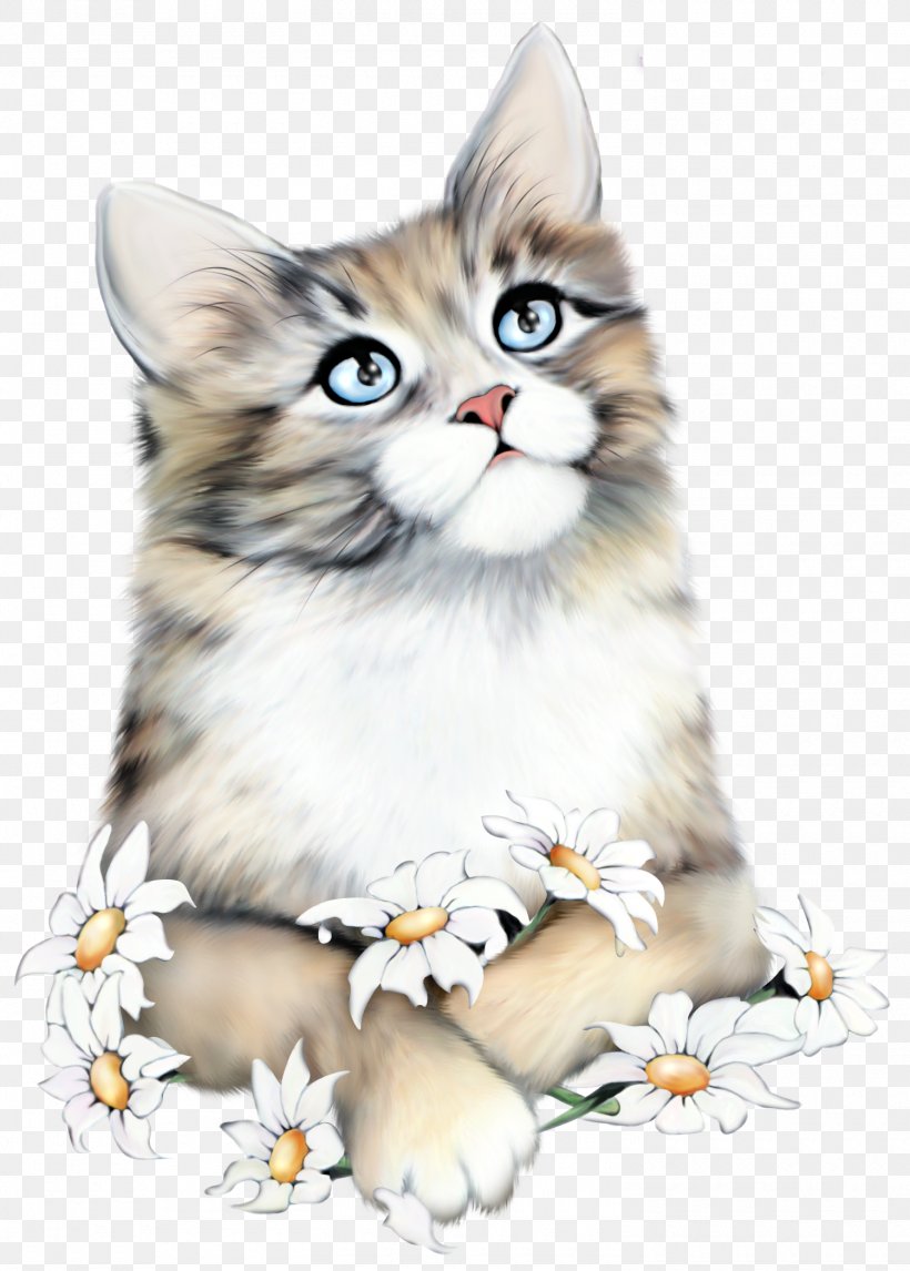 Cat Kitten Love Daytime Diary, PNG, 1500x2097px, Cat, Amino Apps, Ansichtkaart, Blog, Carnivoran Download Free