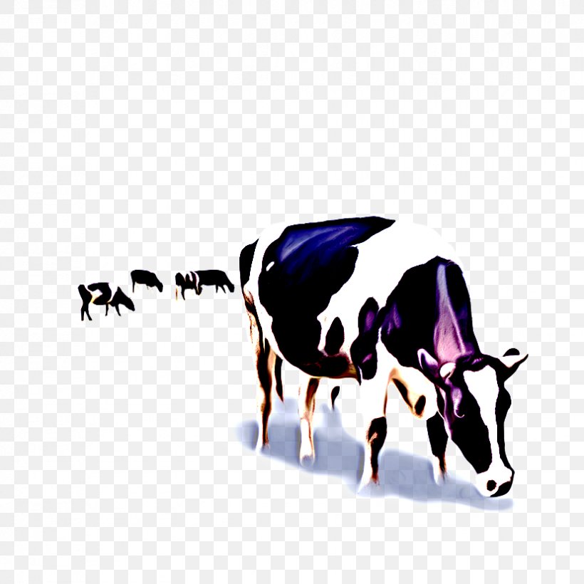 Cow Background, PNG, 827x827px, Holstein Friesian Cattle, Agriculture, Angus Cattle, Beef Cattle, Bovine Download Free