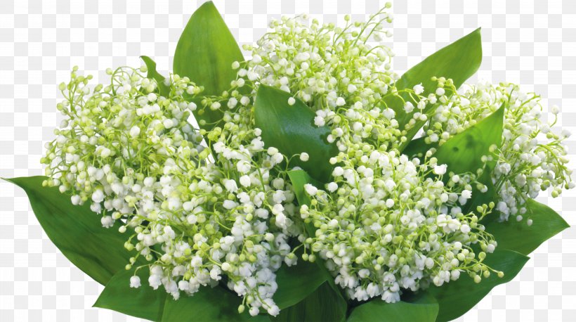 Lily Of The Valley Desktop Wallpaper Flower Theme, PNG, 4400x2458px, Lily Of The Valley, Blog, Computer, Computer Monitors, Desktop Environment Download Free