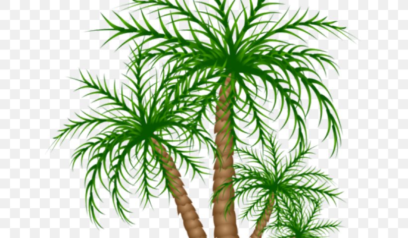 Asian Palmyra Palm Palm Trees Date Palm Vegetation Clip Art, PNG, 640x480px, Watercolor, Cartoon, Flower, Frame, Heart Download Free