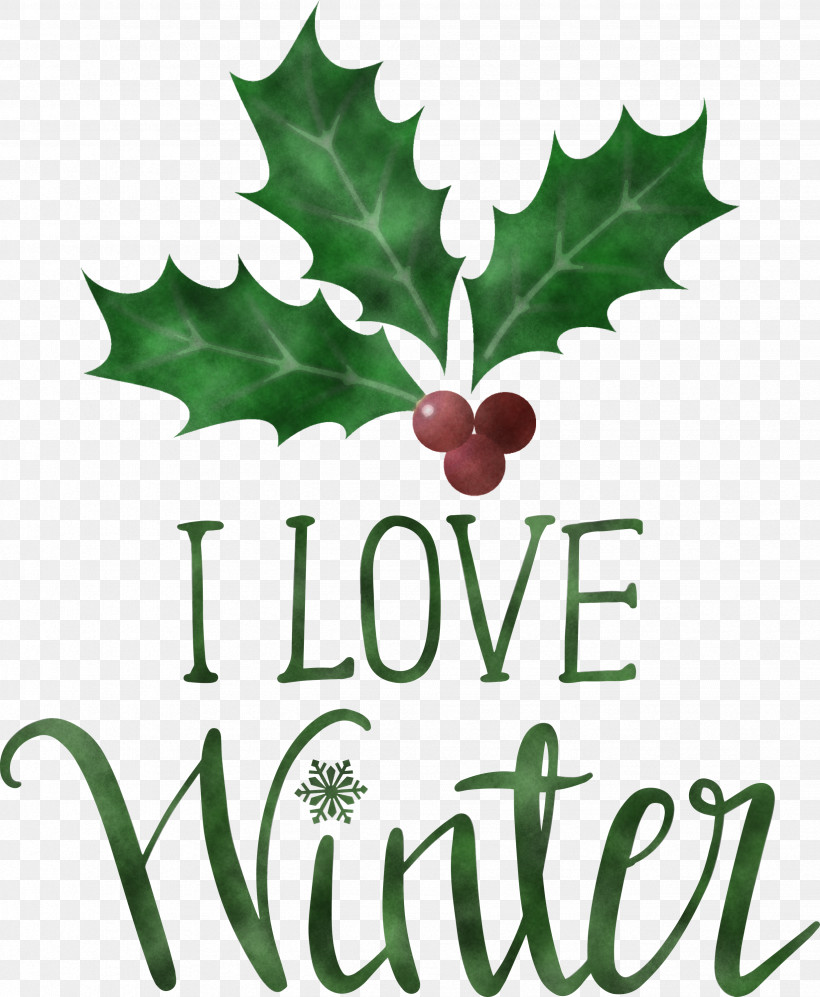I Love Winter Winter, PNG, 2466x3000px, I Love Winter, Aquifoliales, Biology, Fruit, Holly Download Free