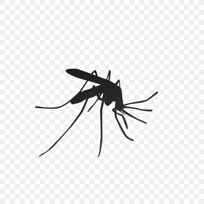 Mosquito Household Insect Repellents Pest Control, PNG, 1475x1475px, Mosquito, Arthropod, Black And White, Bug Zapper, Dengue Fever Download Free