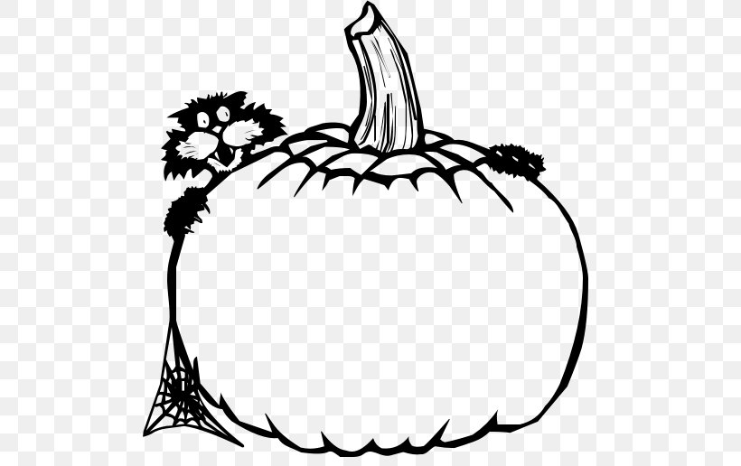 Pumpkin Seed Jack-o'-lantern Template Clip Art, PNG, 503x516px, Pumpkin, Art, Artwork, Beak, Bing Images Download Free