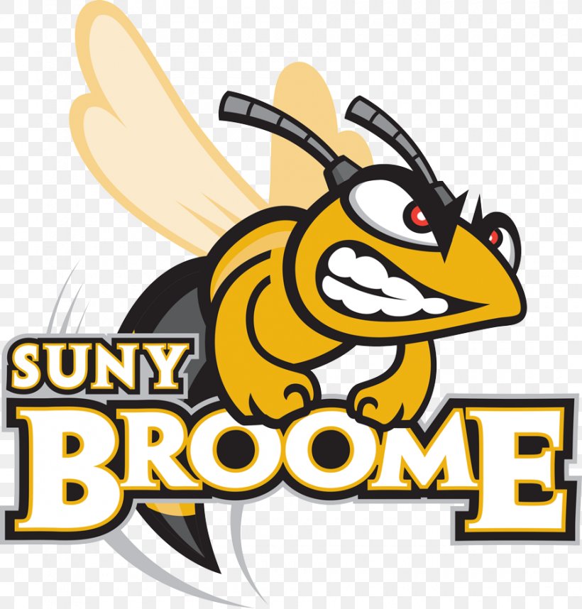 SUNY Broome Community College Binghamton New Summerfield Independent School District University, PNG, 900x942px, Suny Broome Community College, Area, Artwork, Binghamton, Brand Download Free