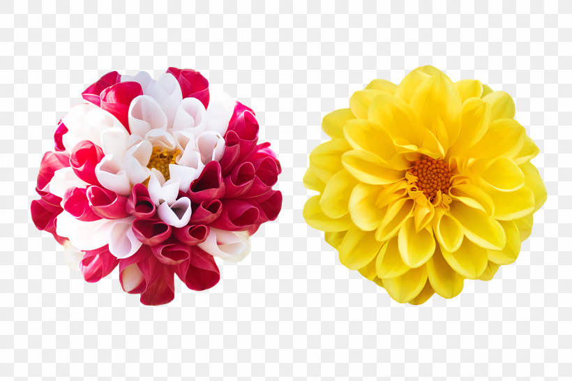 Artificial Flower, PNG, 1920x1280px, Dahlia, Artificial Flower, Biology, Chrysanthemum, Cut Flowers Download Free
