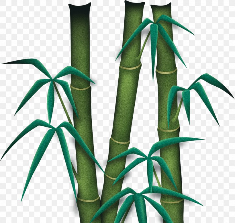 Bamboo Plant Stem Line Family Font, PNG, 1914x1821px, Bamboo, Family, Grass, Grass Family, Grasses Download Free