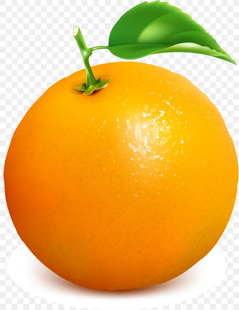 Clementine Juice Mandarin Orange Tangelo Grapefruit, PNG, 1500x1942px, Clementine, Bitter Orange, Citric Acid, Citrus, Citrus Xd7 Sinensis Download Free