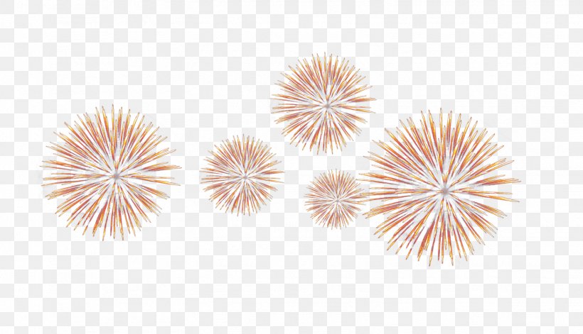 Light Fireworks, PNG, 1554x894px, Light, Artificier, Fire, Fireworks, Gratis Download Free