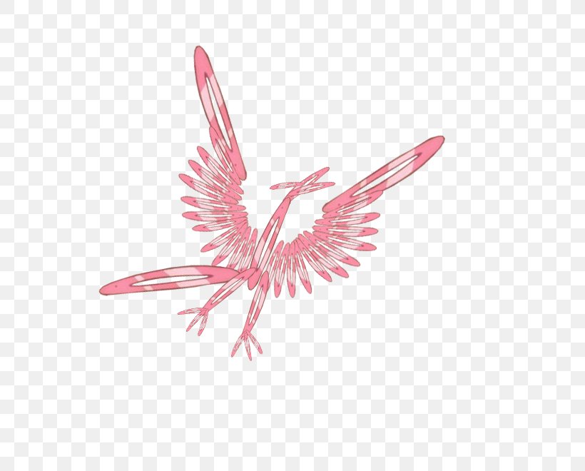 Pink M Feather Beak Line, PNG, 734x660px, Pink M, Beak, Bird, Feather, Pink Download Free