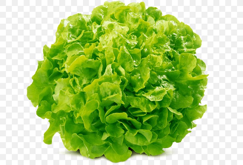 Romanesco Broccoli Cauliflower Mathematics Vegetable, PNG, 800x557px, Romanesco Broccoli, Arithmetic, Brassica Oleracea, Broccoli, Cauliflower Download Free