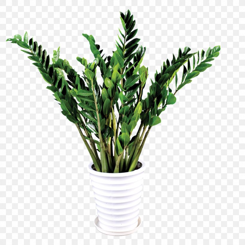 Grow Light Plants Houseplant Taobao Penjing, PNG, 1024x1024px, Grow Light, Devils Ivy, Dumb Canes, Flowerpot, Goods Download Free