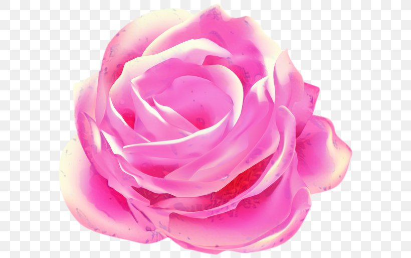 Pink Flower Cartoon, PNG, 599x514px, Garden Roses, Artificial Flower, Cabbage Rose, Camellia, Cut Flowers Download Free