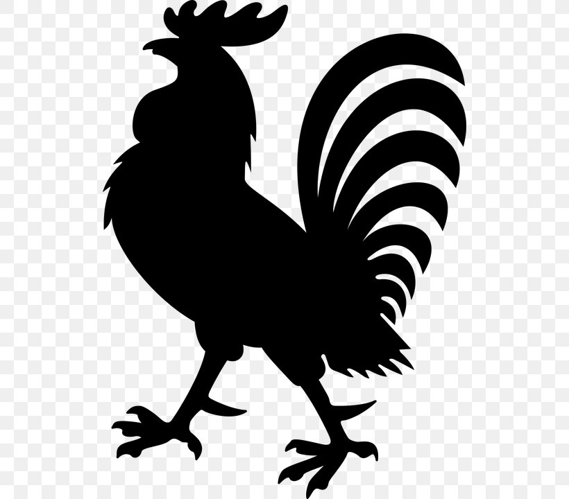 Rooster Coat Of Arms Crest Chicken, PNG, 524x720px, Rooster, Banner, Beak, Bird, Black And White Download Free