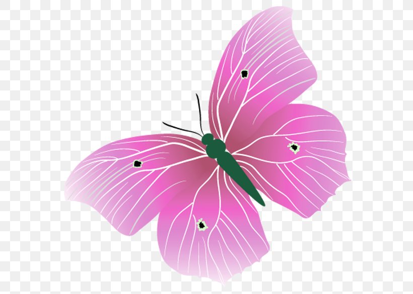 Butterflies And Moths .li .ru Clip Art, PNG, 609x585px, Butterflies And Moths, Butterfly, Diary, Flower, Flowering Plant Download Free