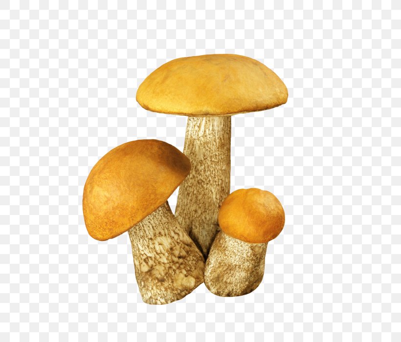 Fungus Aspen Mushroom Edible Mushroom Brown Cap Boletus Clip Art, PNG, 700x700px, Fungus, Aspen Mushroom, Boletus Edulis, Brown Cap Boletus, Eating Download Free