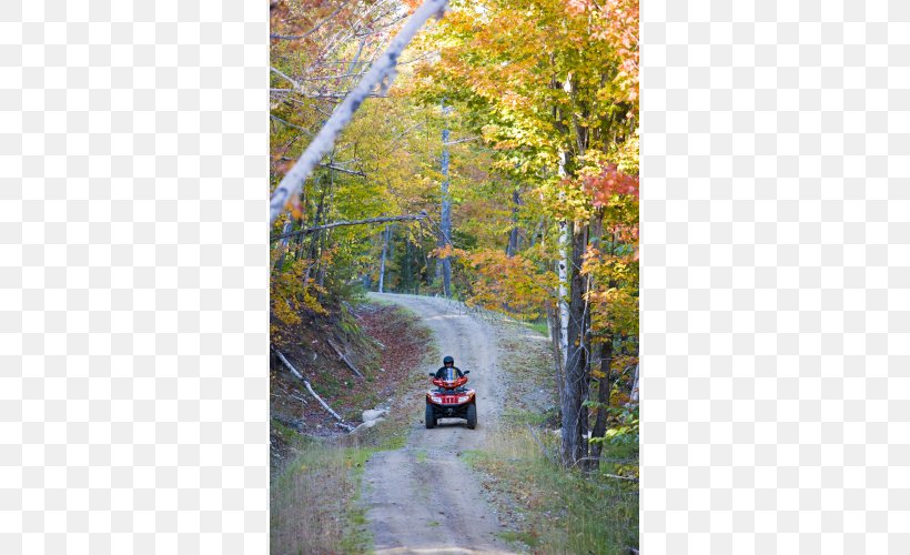 Jericho Mountain State Park Franconia Notch State Park Crawford Notch, PNG, 500x500px, Jericho Mountain State Park, Allterrain Vehicle, Autumn, Autumn Leaf Color, Deciduous Download Free