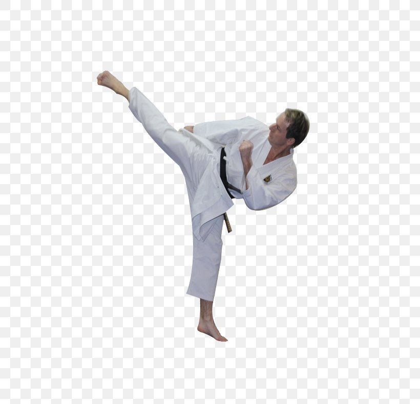 Karate Dobok Shoulder Hip KBR, PNG, 499x790px, Karate, Arm, Dobok, Hip, Japanese Martial Arts Download Free