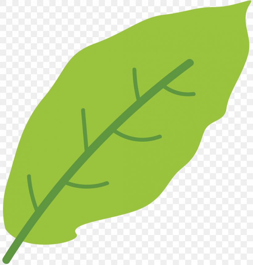 Leaf Product Design Plant Stem Font Line, PNG, 1056x1104px, Leaf, Botany, Green, Herb, Leaf Vegetable Download Free