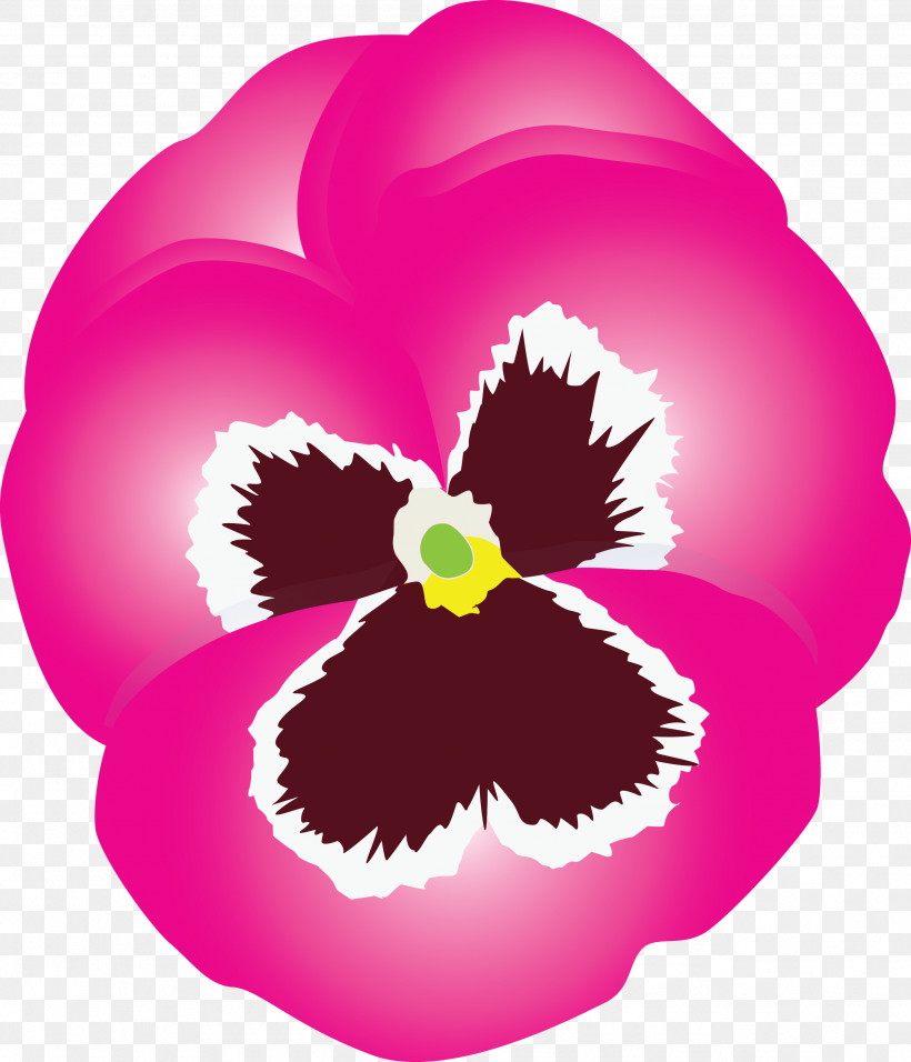 PANSY Spring Flower, PNG, 2571x3000px, Pansy, Cattleya, Flower, Magenta, Petal Download Free