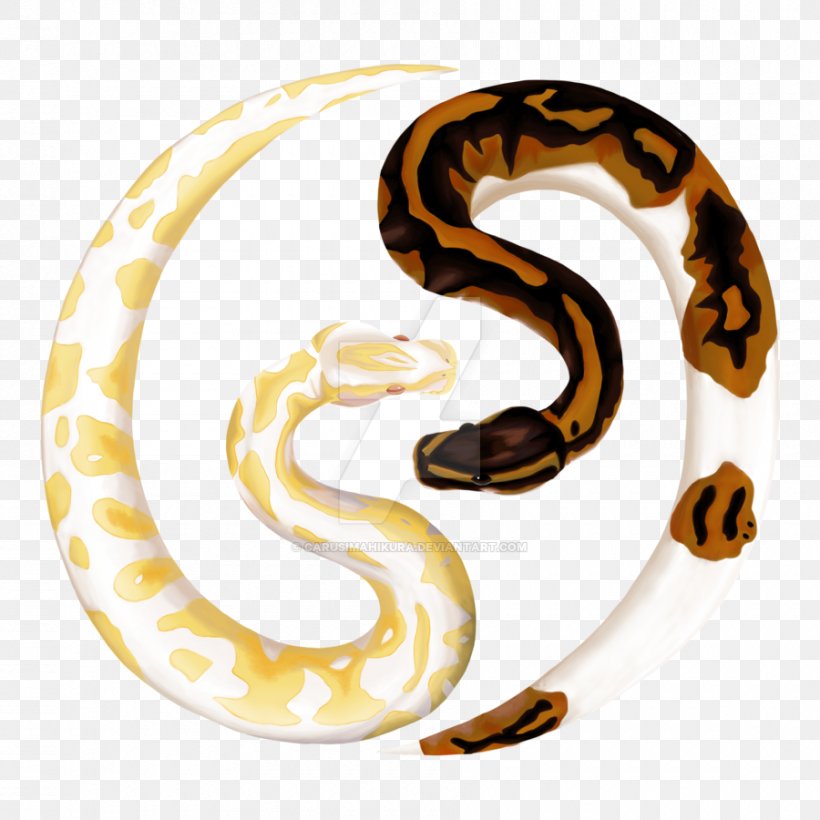 Snake Ball Python Reptile Pet Burmese Python, PNG, 900x900px, Snake, Animal, Ball Python, Boas, Body Jewelry Download Free