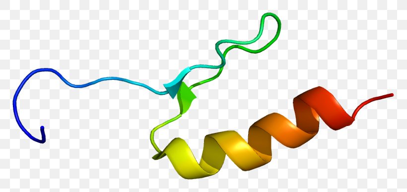 Sp3 Transcription Factor Protein Sp1 Transcription Factor, PNG, 819x387px, Watercolor, Cartoon, Flower, Frame, Heart Download Free