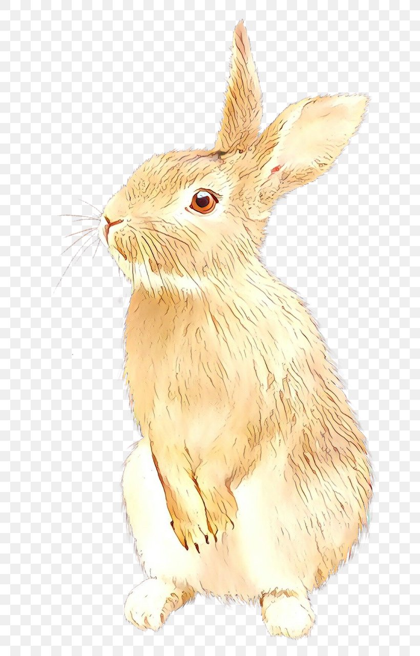 Domestic Rabbit Hare Clip Art, PNG, 762x1280px, Domestic Rabbit, Animal Figure, Drawing, Easter Bunny, Fawn Download Free