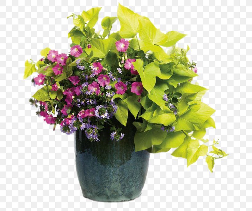 Flowerpot Scaevola Aemula Container Garden Floral Design Shipping Container, PNG, 699x689px, Flowerpot, Annual Plant, Artificial Flower, Calibrachoa, Container Garden Download Free