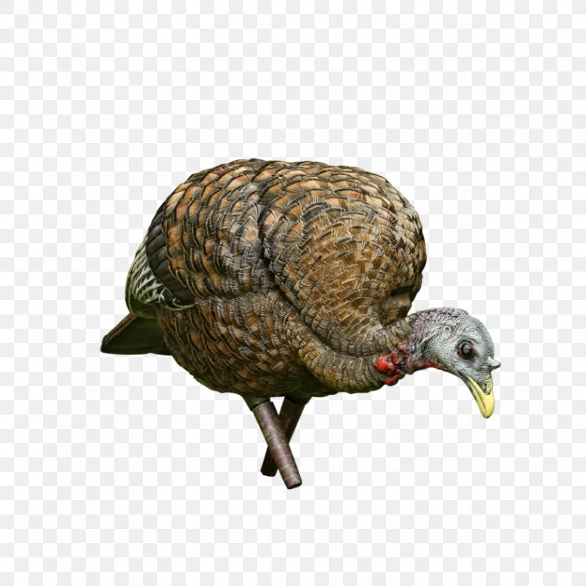 Duck Decoy Duck Decoy Turkey Hunting, PNG, 863x863px, Decoy, American Black Duck, Avian Influenza, Beak, Bird Download Free