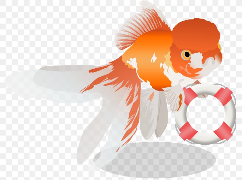 Goldfish Vertebrate Clip Art, PNG, 800x611px, Goldfish, Animal, Cardiopulmonary Resuscitation, Cartoon, Character Download Free