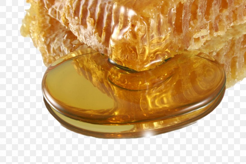 Honey Bee Honey Bee Mu0101nuka Honey Manuka, PNG, 1200x800px, Bee, Apiary, Beehive, Beekeeper, Beekeeping Download Free