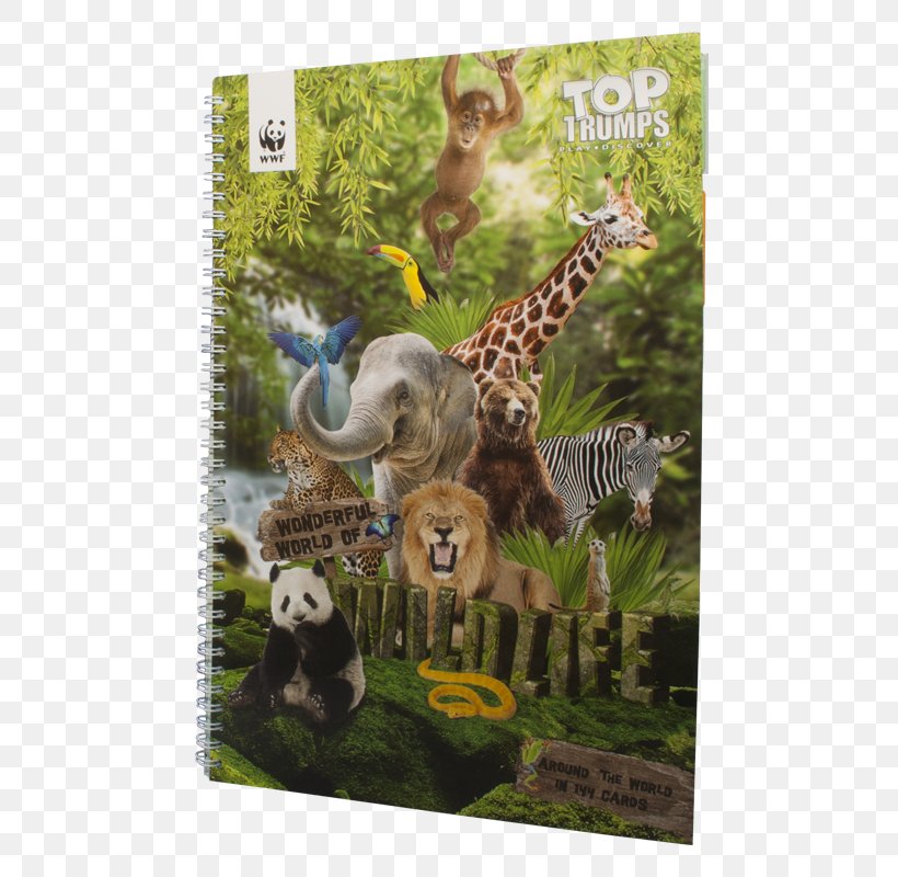 Wildlife Dinosaur Terrestrial Animal, PNG, 800x800px, Wildlife, Animal, Dinosaur, Fauna, Organism Download Free