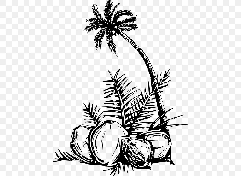 Coloring Book Arecaceae Coconut Tree Fruit, PNG, 462x598px, Coloring Book, Adult, Arecaceae, Arecales, Art Download Free