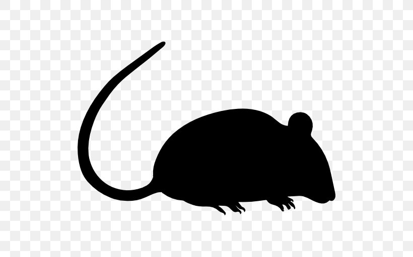 Computer Mouse Black Rat, PNG, 512x512px, Mouse, Black And White, Black Rat, Carnivoran, Computer Mouse Download Free