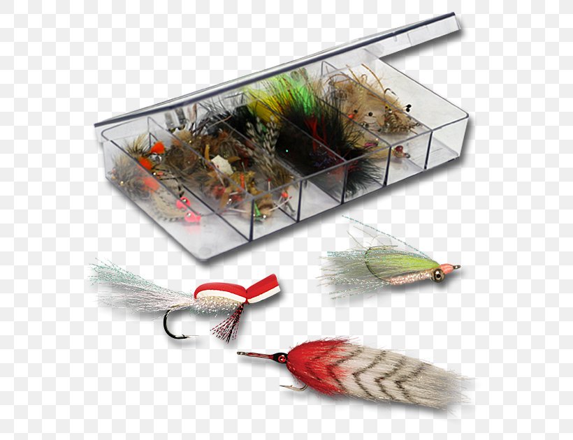 Feather, PNG, 630x630px, Feather, Fishing Bait Download Free