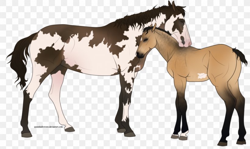 Mustang Foal Stallion Colt Mare, PNG, 1024x611px, Mustang, Animal Figure, Colt, Foal, Halter Download Free