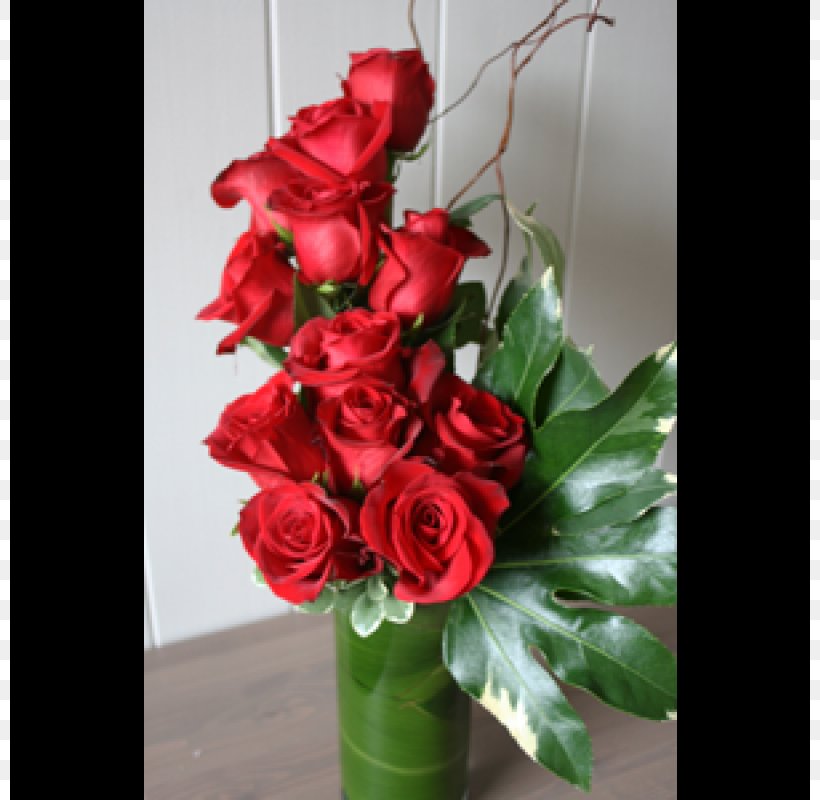 Northbrook Cut Flowers Rose Floristry, PNG, 800x800px, Northbrook, Artificial Flower, Begonia, Centrepiece, Cut Flowers Download Free