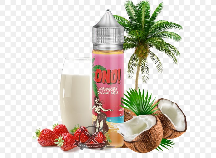 Coconut Milk Milkshake Drink, PNG, 600x600px, Coconut Milk, Aroma, Bottle, Coconut, Drink Download Free