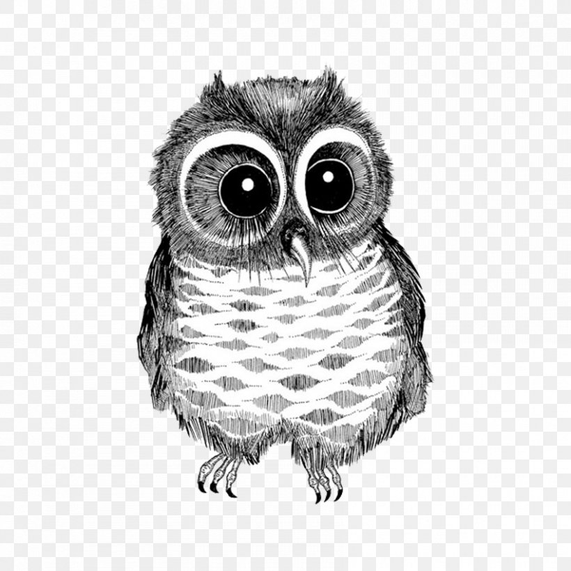 Owl Drawing Bird Black And White Photography, PNG, 850x850px, Owl, Animal, Beak, Bird, Bird Of Prey Download Free