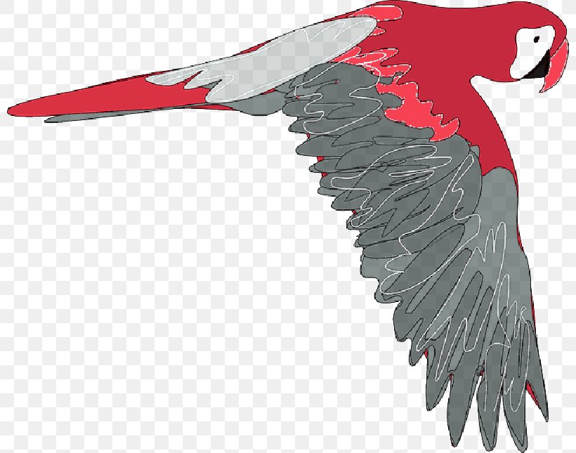 Parrot Clip Art Macaw Bird, PNG, 800x645px, Parrot, Animal Figure, Beak, Bird, Condor Download Free