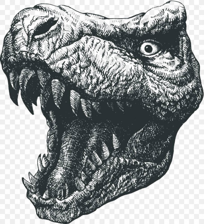Tyrannosaurus Rex Dinosaur Drawing Illustration, PNG, 911x1000px, Tyrannosaurus Rex, Black And White, Can Stock Photo, Dinosaur, Drawing Download Free