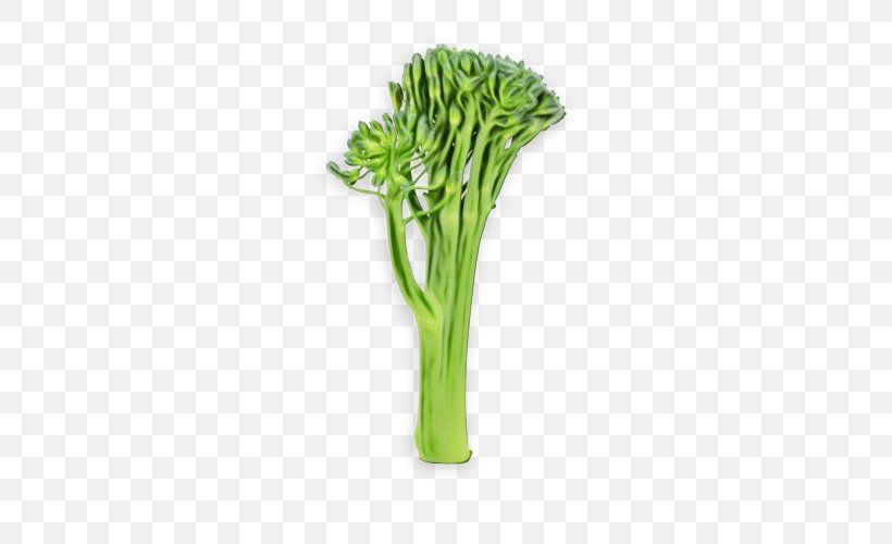 Vegetable Plant Cruciferous Vegetables Flower Leaf Vegetable, PNG, 500x500px, Watercolor, Broccoli, Celery, Cruciferous Vegetables, Flower Download Free